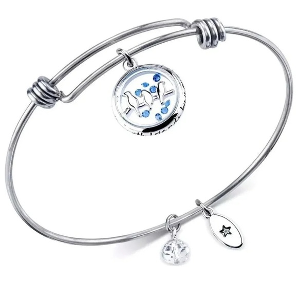 Friends Bird Charm Bangle Bracelet in Stainless Steel - Picture 1 of 2